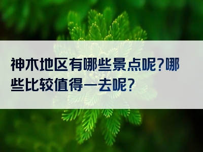 神木地区有哪些景点呢？哪些比较值得一去呢？