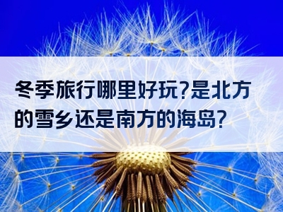 冬季旅行哪里好玩？是北方的雪乡还是南方的海岛？