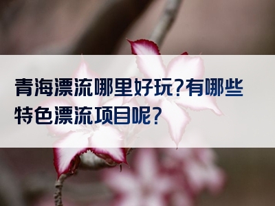 青海漂流哪里好玩？有哪些特色漂流项目呢？