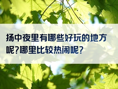 扬中夜里有哪些好玩的地方呢？哪里比较热闹呢？
