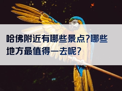 哈佛附近有哪些景点？哪些地方最值得一去呢？