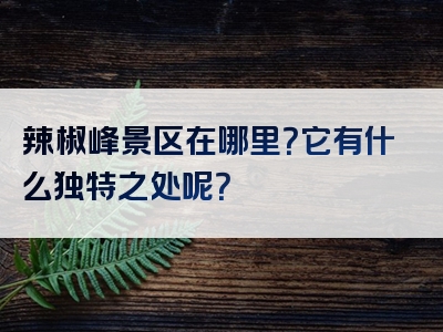 辣椒峰景区在哪里？它有什么独特之处呢？