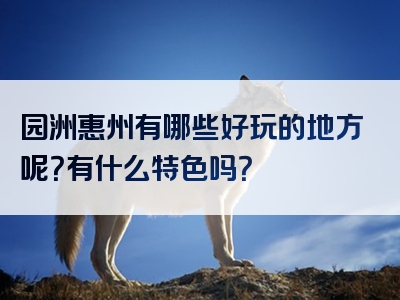 园洲惠州有哪些好玩的地方呢？有什么特色吗？
