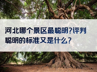 河北哪个景区最聪明？评判聪明的标准又是什么？