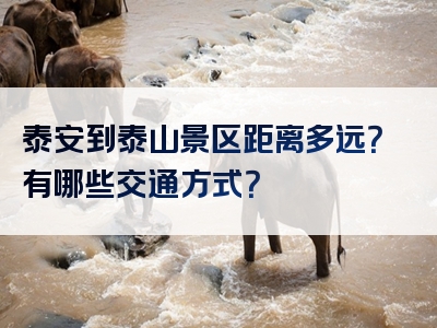 泰安到泰山景区距离多远？有哪些交通方式？