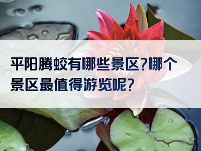 平阳腾蛟有哪些景区？哪个景区最值得游览呢？