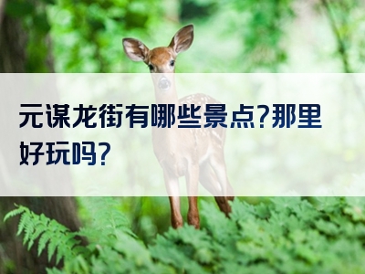 元谋龙街有哪些景点？那里好玩吗？