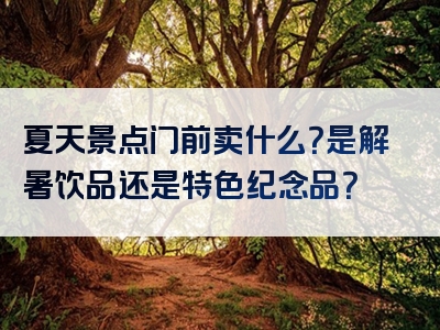 夏天景点门前卖什么？是解暑饮品还是特色纪念品？