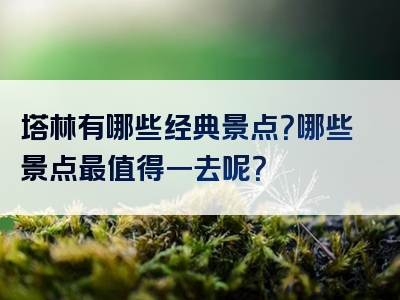 塔林有哪些经典景点？哪些景点最值得一去呢？