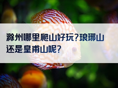 滁州哪里爬山好玩？琅琊山还是皇甫山呢？