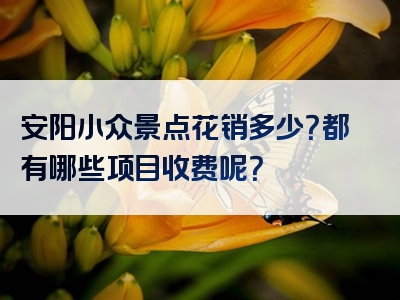 安阳小众景点花销多少？都有哪些项目收费呢？