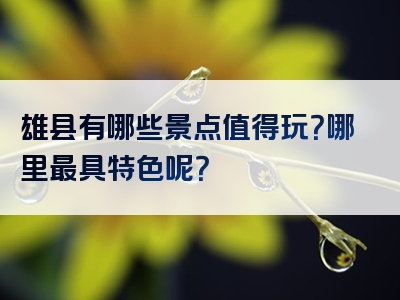 雄县有哪些景点值得玩？哪里最具特色呢？