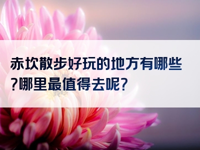 赤坎散步好玩的地方有哪些？哪里最值得去呢？