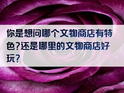 你是想问哪个文物商店有特色？还是哪里的文物商店好玩？