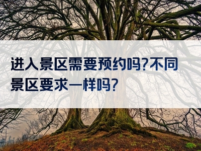 进入景区需要预约吗？不同景区要求一样吗？