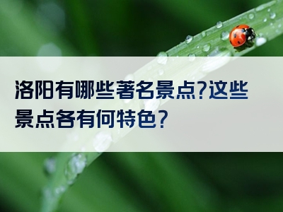 洛阳有哪些著名景点？这些景点各有何特色？