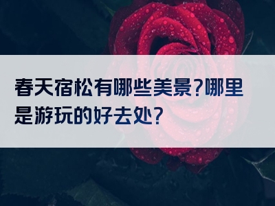 春天宿松有哪些美景？哪里是游玩的好去处？