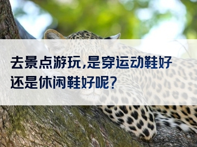 去景点游玩，是穿运动鞋好还是休闲鞋好呢？
