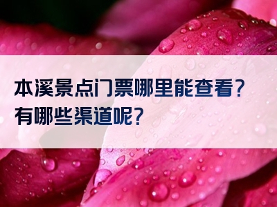 本溪景点门票哪里能查看？有哪些渠道呢？