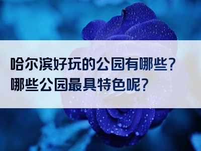 哈尔滨好玩的公园有哪些？哪些公园最具特色呢？
