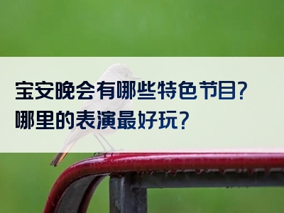 宝安晚会有哪些特色节目？哪里的表演最好玩？
