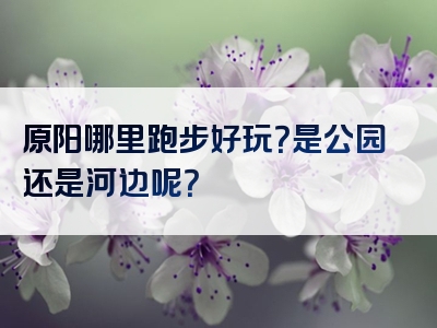 原阳哪里跑步好玩？是公园还是河边呢？
