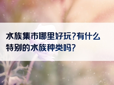 水族集市哪里好玩？有什么特别的水族种类吗？