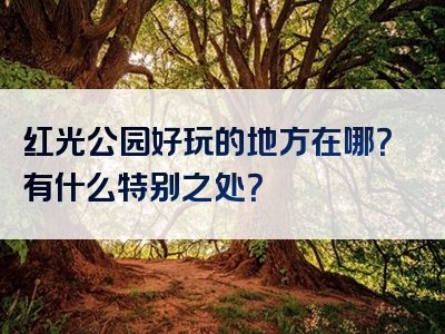 红光公园好玩的地方在哪？有什么特别之处？