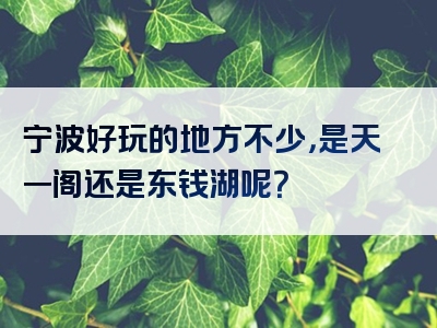 宁波好玩的地方不少，是天一阁还是东钱湖呢？
