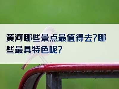 黄河哪些景点最值得去？哪些最具特色呢？