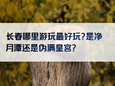 长春哪里游玩最好玩？是净月潭还是伪满皇宫？