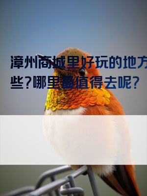 漳州商城里好玩的地方有哪些？哪里最值得去呢？