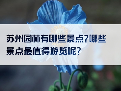 苏州园林有哪些景点？哪些景点最值得游览呢？