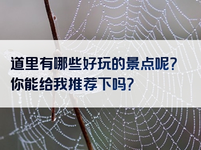 道里有哪些好玩的景点呢？你能给我推荐下吗？