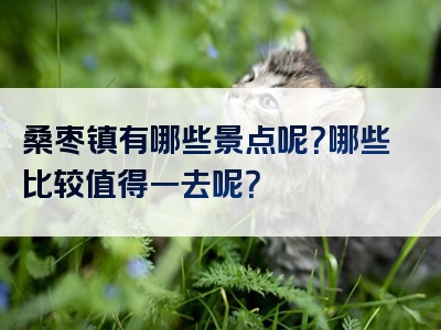 桑枣镇有哪些景点呢？哪些比较值得一去呢？