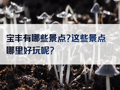宝丰有哪些景点？这些景点哪里好玩呢？