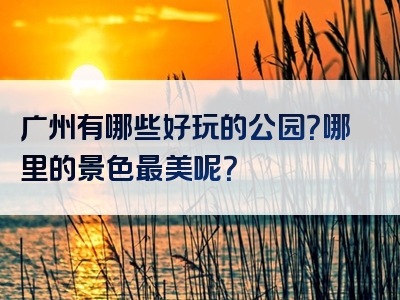 广州有哪些好玩的公园？哪里的景色最美呢？