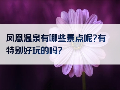 凤凰温泉有哪些景点呢？有特别好玩的吗？