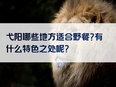 弋阳哪些地方适合野餐？有什么特色之处呢？