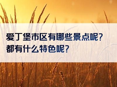 爱丁堡市区有哪些景点呢？都有什么特色呢？