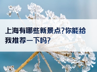 上海有哪些新景点？你能给我推荐一下吗？
