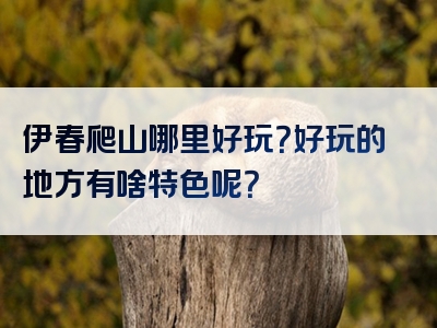 伊春爬山哪里好玩？好玩的地方有啥特色呢？
