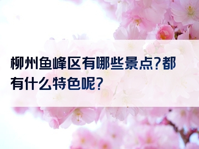 柳州鱼峰区有哪些景点？都有什么特色呢？