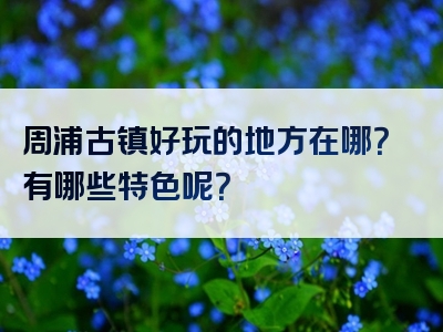 周浦古镇好玩的地方在哪？有哪些特色呢？