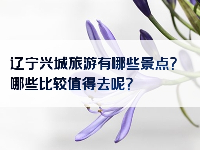 辽宁兴城旅游有哪些景点？哪些比较值得去呢？