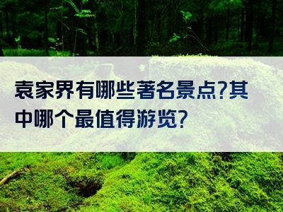袁家界有哪些著名景点？其中哪个最值得游览？