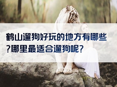鹤山遛狗好玩的地方有哪些？哪里最适合遛狗呢？