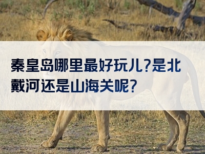 秦皇岛哪里最好玩儿？是北戴河还是山海关呢？