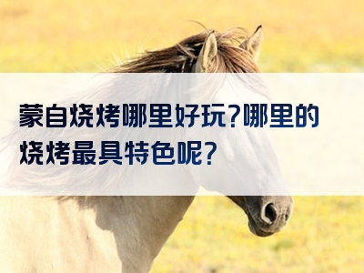 蒙自烧烤哪里好玩？哪里的烧烤最具特色呢？