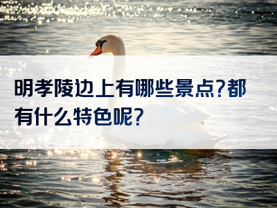 明孝陵边上有哪些景点？都有什么特色呢？